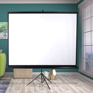 Portable Projection Screen